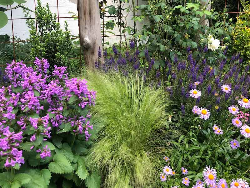 Garten Feng Shui mit gutem Qi in Schwetzingen