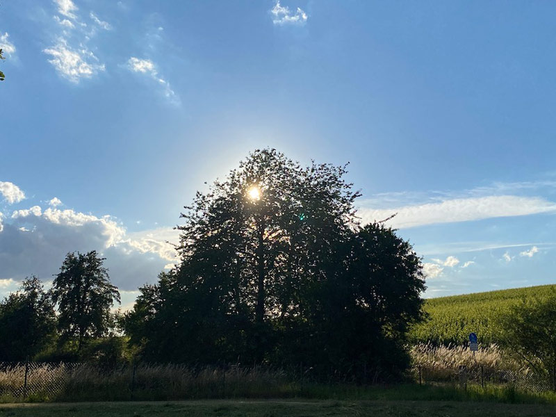 Sonnenuntergang im Feng Shui Garten