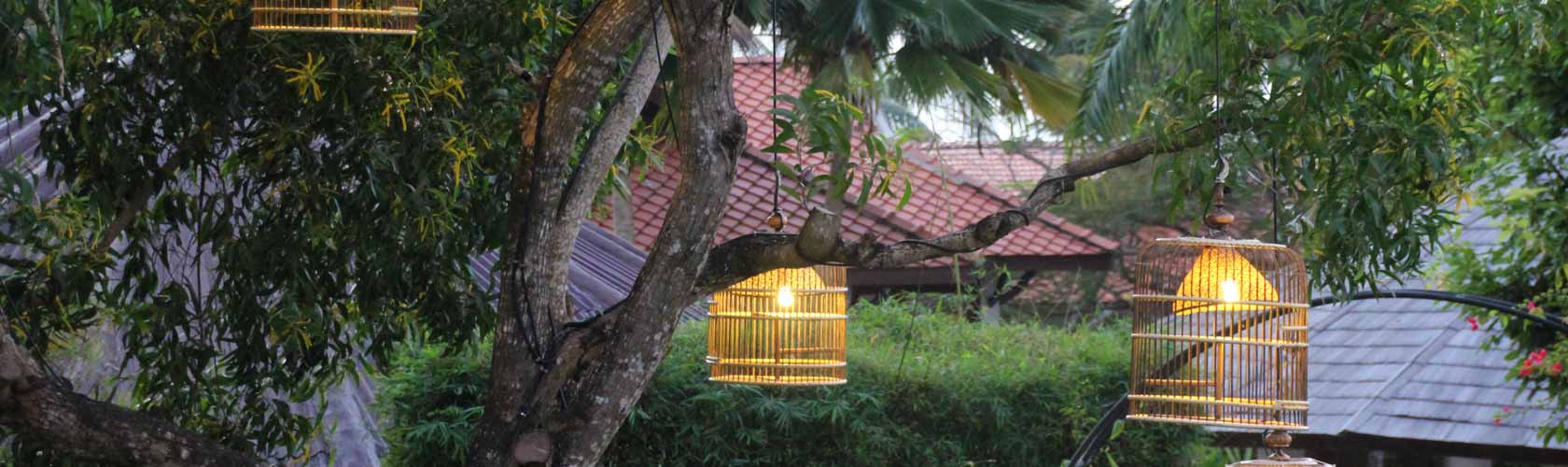 Feng Shui Tipps