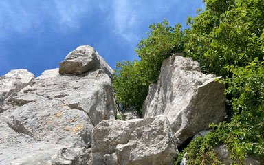 Die Bilder im Stein (Jasenice, Kroatien) Die Bilder im Stein (Jasenice, Kroatien)