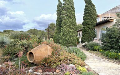 Gartenplanung auf Mallorca, Nähe Alcudia Gartenplanung auf Mallorca, Nähe Alcudia